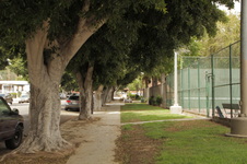 Enlarge photo 14