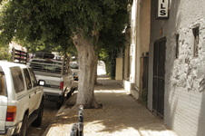 Enlarge photo 17