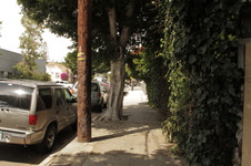 Enlarge photo 18