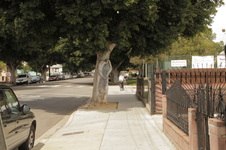 Enlarge photo 21