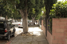 Enlarge photo 22