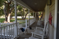 Enlarge photo 15