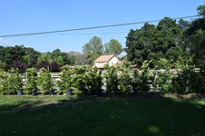 Enlarge photo 24