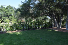 Enlarge photo 25