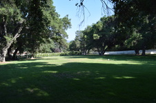 Enlarge photo 35