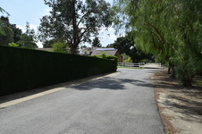 Enlarge photo 45