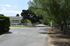 Enlarge photo 46