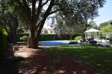 Enlarge photo 58