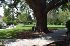 Enlarge photo 79