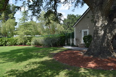 Enlarge photo 83