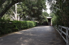 Enlarge photo 89