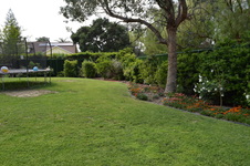 Enlarge photo 102