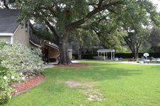 Enlarge photo 103