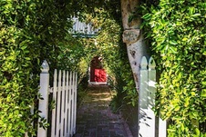 Enlarge photo 4