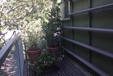 Enlarge photo 49