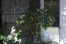 Enlarge photo 53