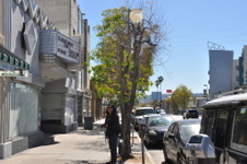 Enlarge photo 34