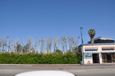 Enlarge photo 19