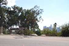 Enlarge photo 47