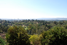 Enlarge photo 41