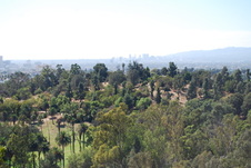 Enlarge photo 40
