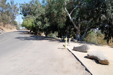Enlarge photo 37