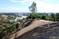 Enlarge photo 32