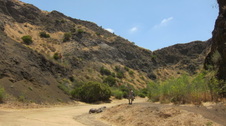 Enlarge photo 10