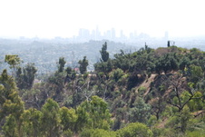 Enlarge photo 75