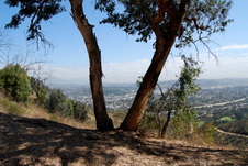 Enlarge photo 74