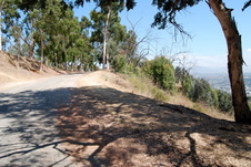 Enlarge photo 73