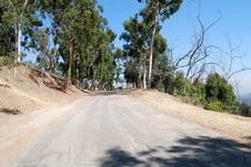 Enlarge photo 72