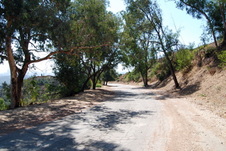 Enlarge photo 71