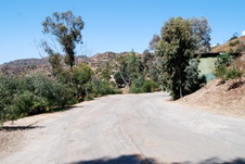 Enlarge photo 66
