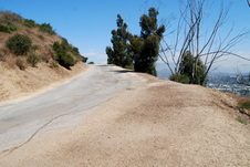 Enlarge photo 63