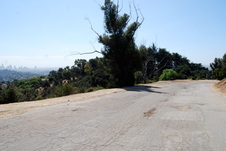 Enlarge photo 62