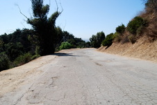 Enlarge photo 61
