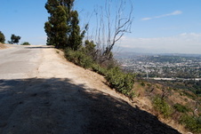 Enlarge photo 56