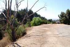 Enlarge photo 55