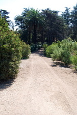 Enlarge photo 52