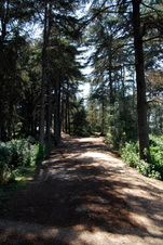 Enlarge photo 51