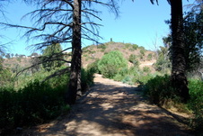 Enlarge photo 50