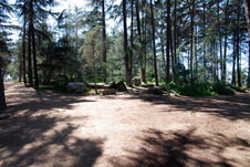 Enlarge photo 49