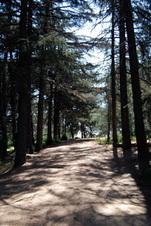 Enlarge photo 48
