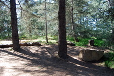Enlarge photo 47