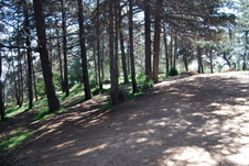 Enlarge photo 46