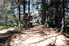 Enlarge photo 45