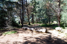 Enlarge photo 44