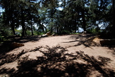 Enlarge photo 43