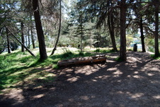 Enlarge photo 42